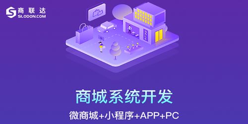 簡析 b2b2c有哪些商城網站運營方案